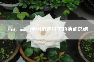 诸城全国消防日主题活动总结