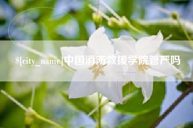诸城中国消防救援学院管严吗