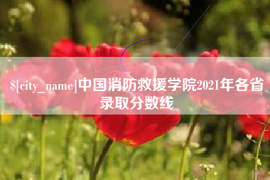 诸城中国消防救援学院2021年各省录取分数线
