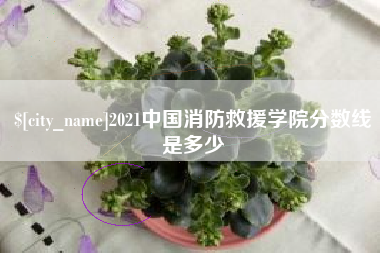 诸城2021中国消防救援学院分数线是多少