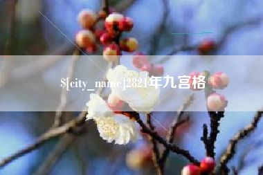 诸城2821年九宫格