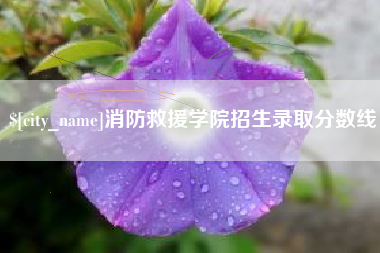 诸城消防救援学院招生录取分数线