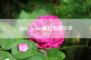 诸城执行信息公示