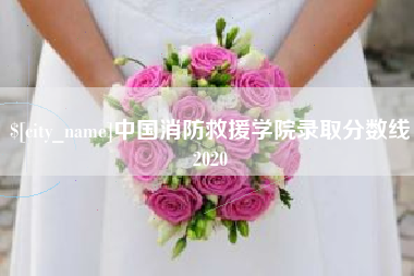 诸城中国消防救援学院录取分数线2020