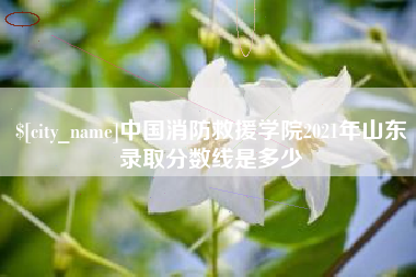 诸城中国消防救援学院2021年山东录取分数线是多少