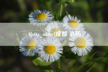 诸城成都 消防