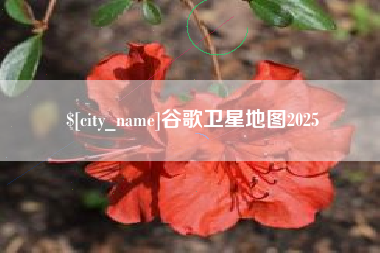 诸城谷歌卫星地图2025