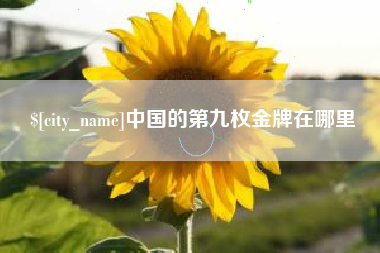 诸城中国的第九枚金牌在哪里