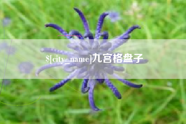 诸城九宫格盘子