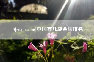 诸城中国有几块金牌排名