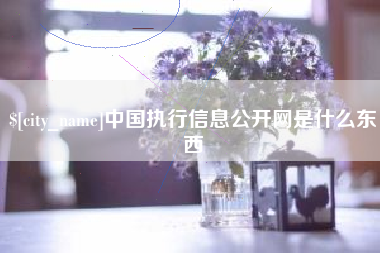 诸城中国执行信息公开网是什么东西