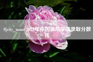 诸城2021年中国消防学院录取分数线