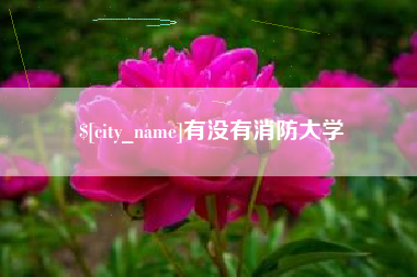 诸城有没有消防大学