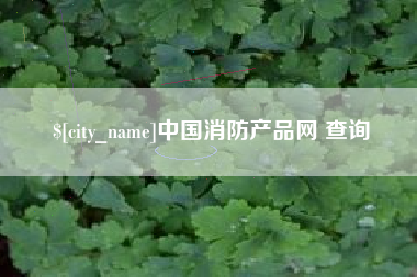 诸城中国消防产品网 查询