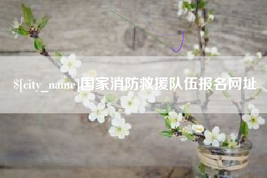 诸城国家消防救援队伍报名网址