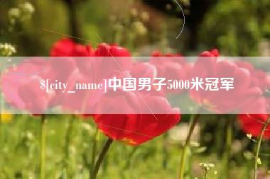 诸城中国男子5000米冠军