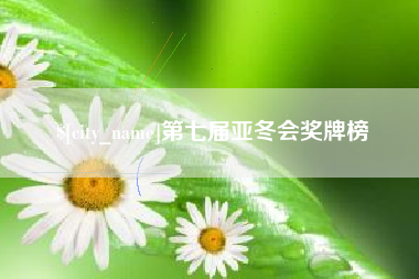 诸城第七届亚冬会奖牌榜