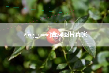 诸城金牌图片真实