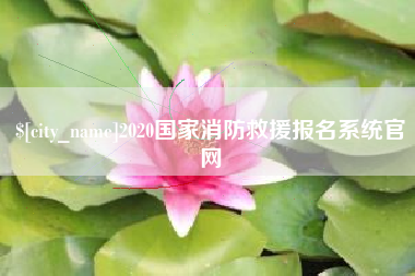 诸城2020国家消防救援报名系统官网