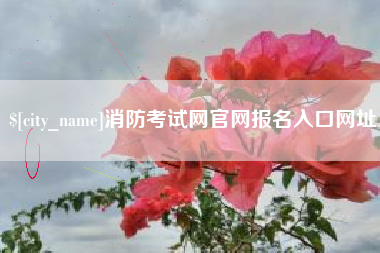 诸城消防考试网官网报名入口网址