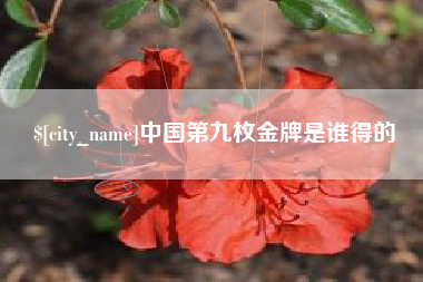 诸城中国第九枚金牌是谁得的