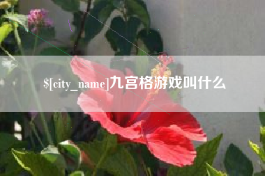 诸城九宫格游戏叫什么