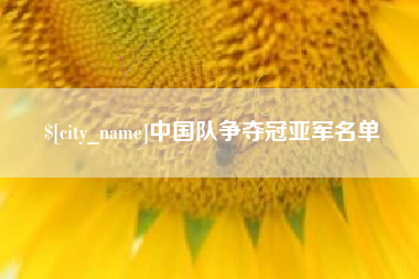 诸城中国队争夺冠亚军名单