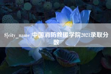 诸城中国消防救援学院2021录取分数