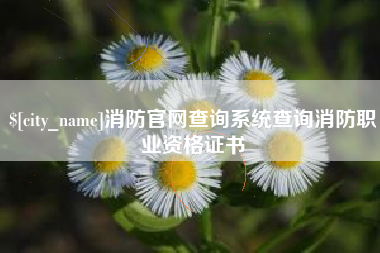 诸城消防官网查询系统查询消防职业资格证书
