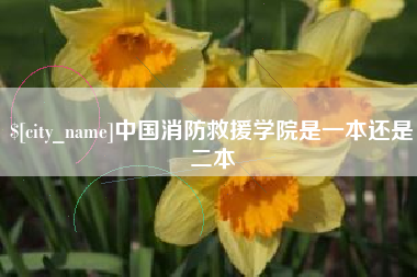 诸城中国消防救援学院是一本还是二本