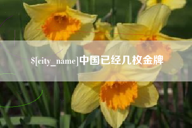 诸城中国已经几枚金牌