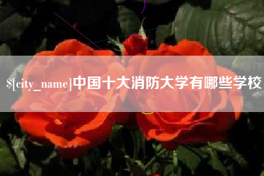 诸城中国十大消防大学有哪些学校