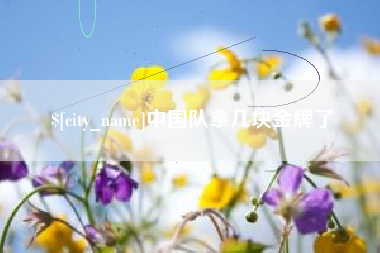 诸城中国队拿几块金牌了
