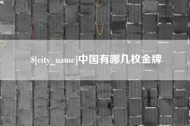 诸城中国有哪几枚金牌