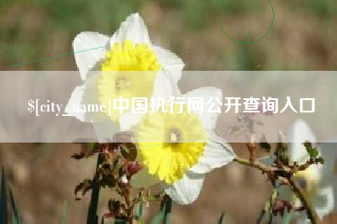诸城中国执行网公开查询入口
