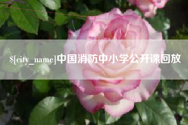 诸城中国消防中小学公开课回放