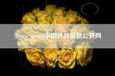 诸城中国执行信息公开网
