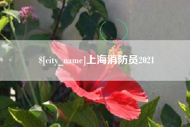 诸城上海消防员2021
