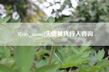 诸城失信被执行人杳询
