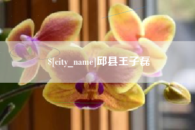 诸城邱县王子磊