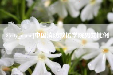 诸城中国消防救援学院男女比例