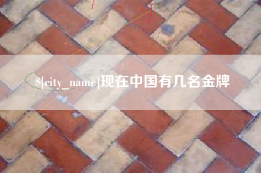 诸城现在中国有几名金牌
