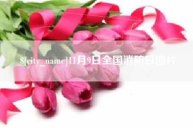 诸城11月9日全国消防日图片