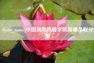 诸城中国消防救援学院新疆录取分数