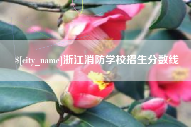 诸城浙江消防学校招生分数线