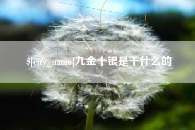 诸城九金十银是干什么的