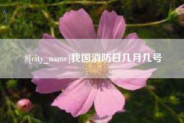 诸城我国消防日几月几号
