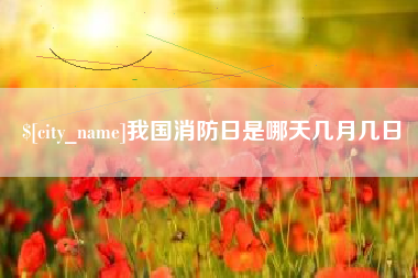 诸城我国消防日是哪天几月几日