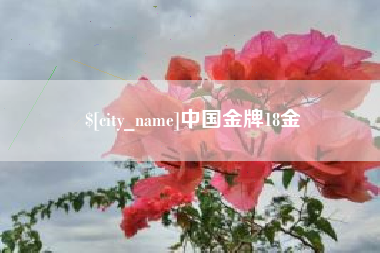 诸城中国金牌18金