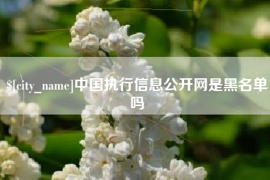 诸城中国执行信息公开网是黑名单吗